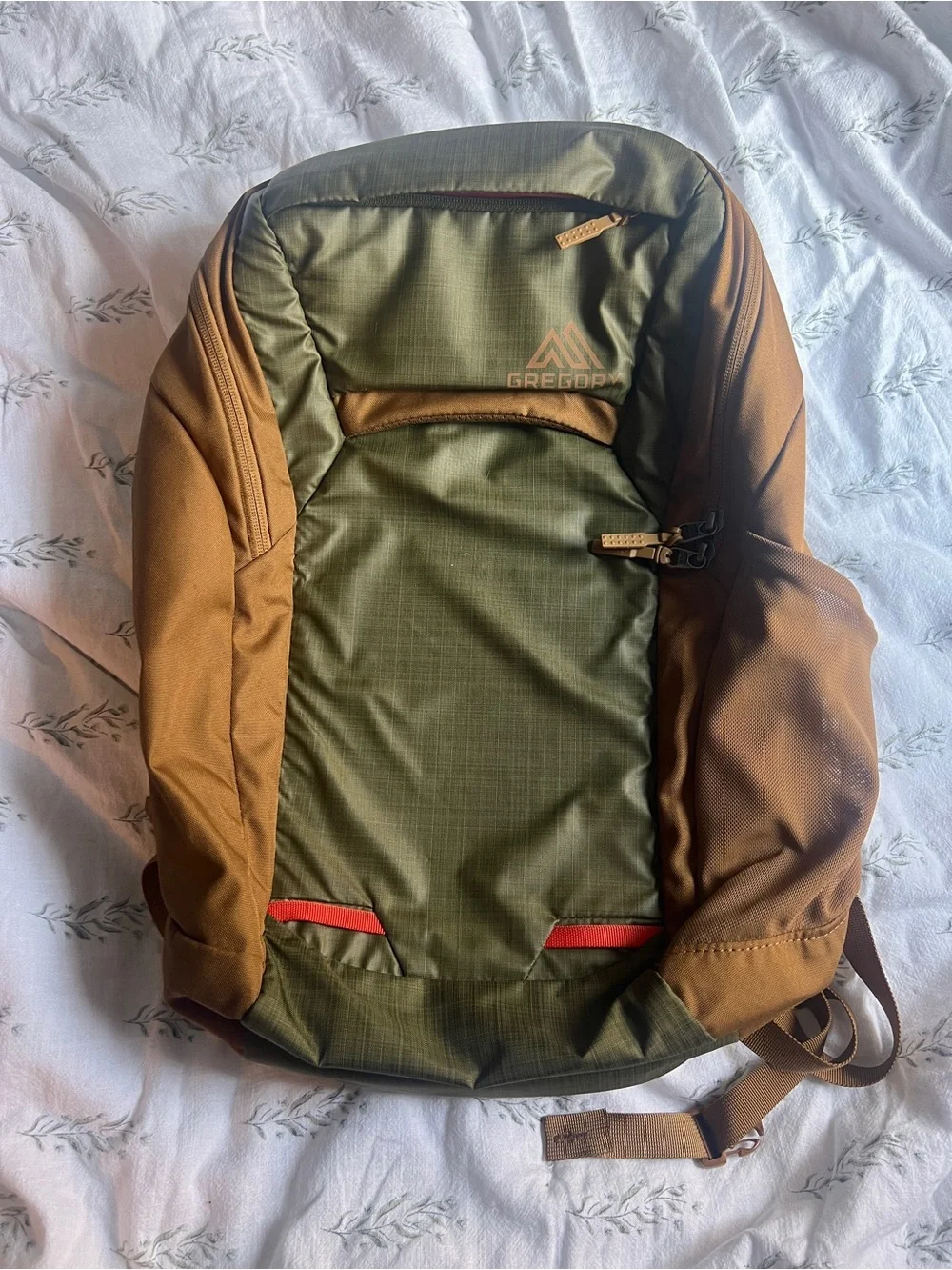 Deuter Resin 25L pack